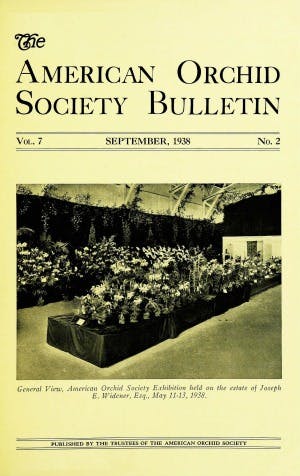June 1938