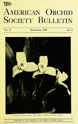 December 1936