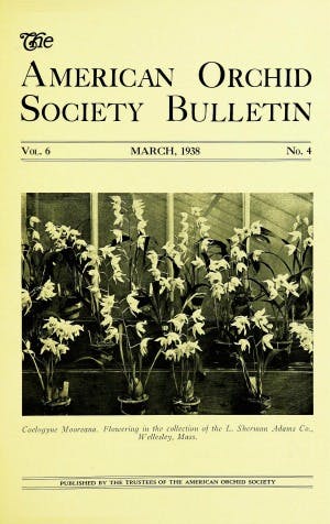 March 1939