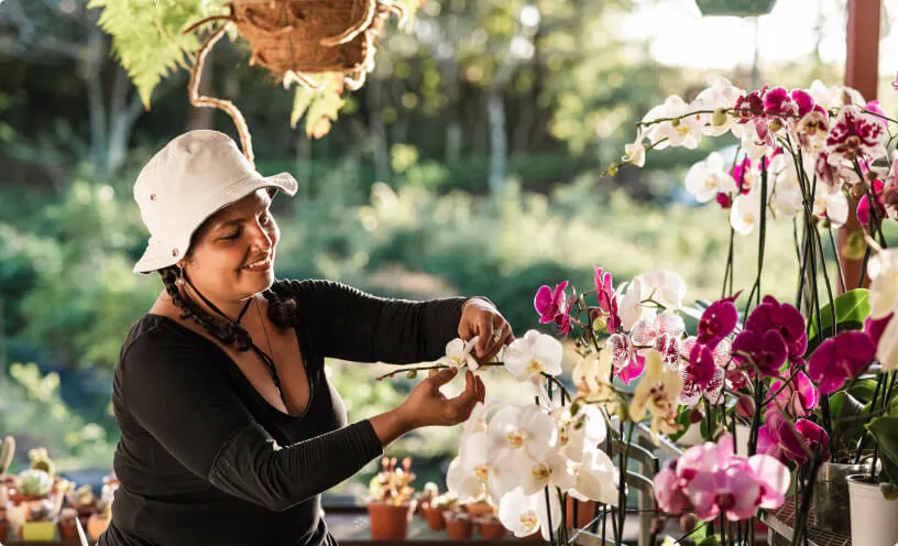 Orchid Care - American Orchid Society