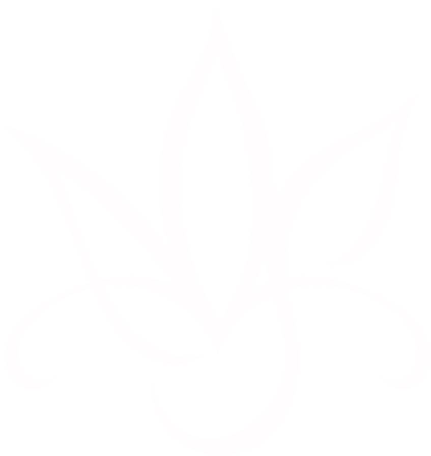 Bg-Orchid-Care