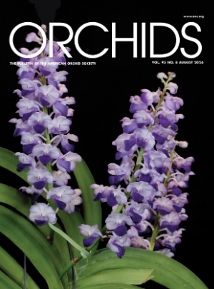 Orchids Magazine - American Orchid Society