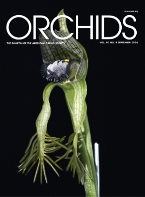 Orchids Magazine - American Orchid Society