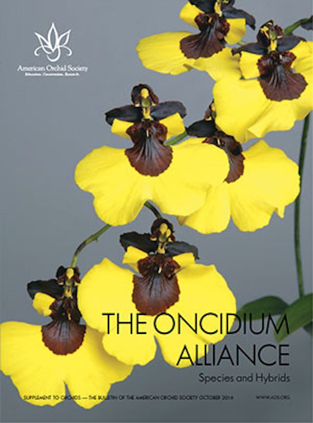  The Oncidium Alliance - Supplement