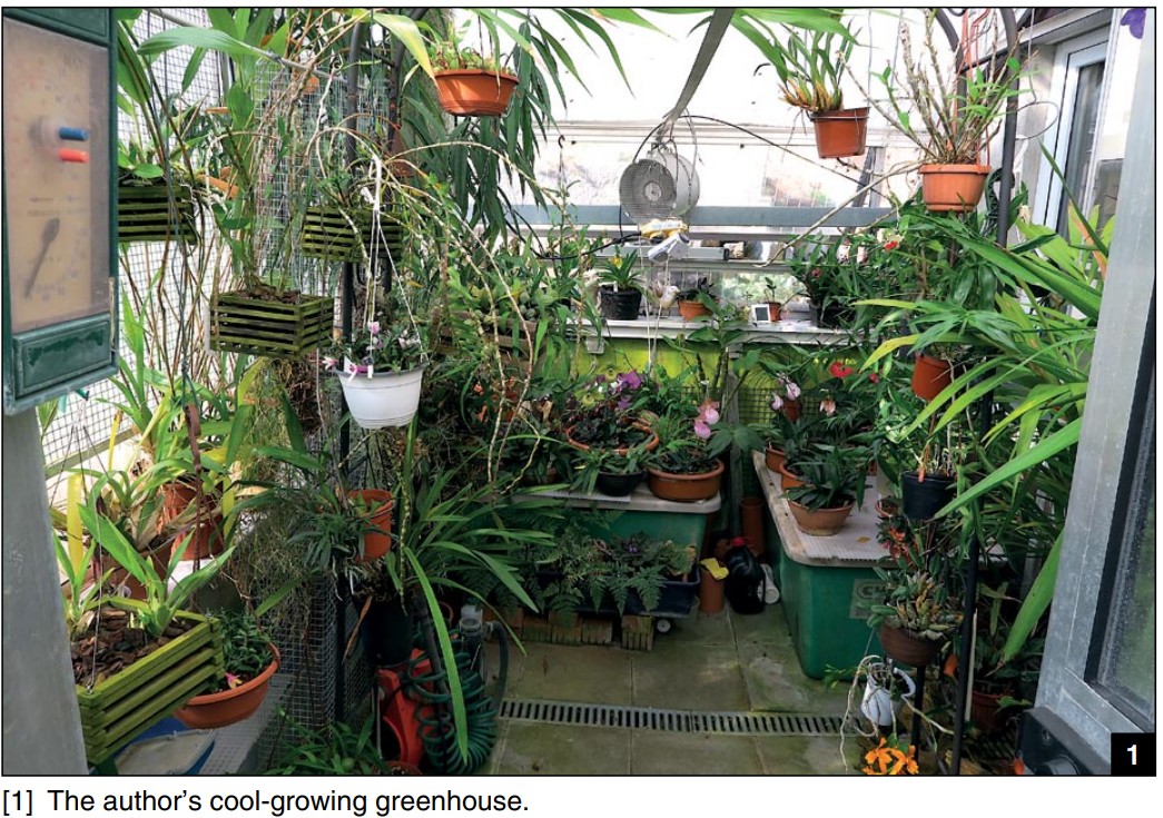 Caring for Orchids in the Greenhouse - American Orchid Society