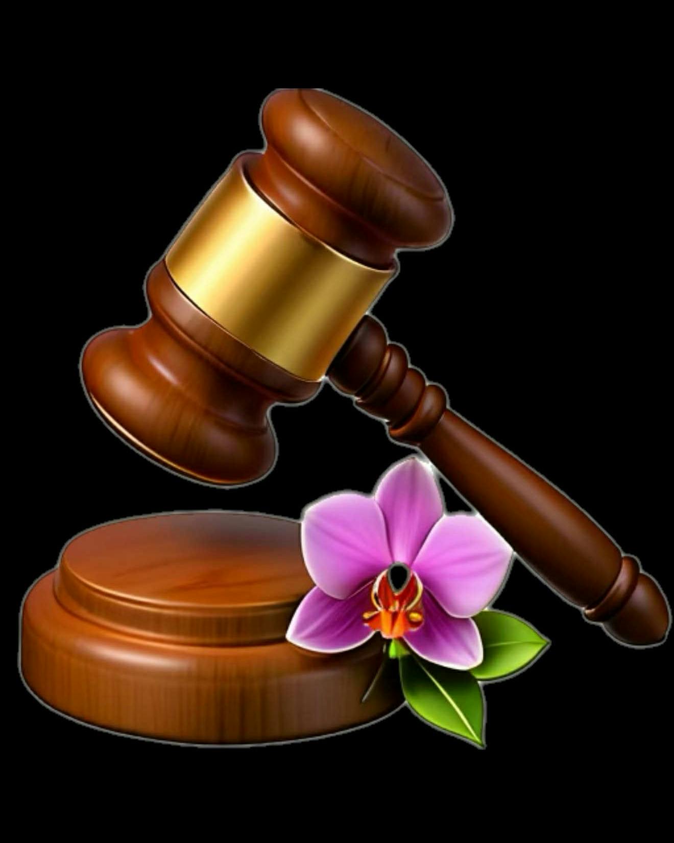 2025 Fall Auction is OPEN! Check it Out!