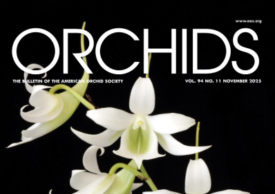 Capturing Orchids in Madagascar - American Orchid Society