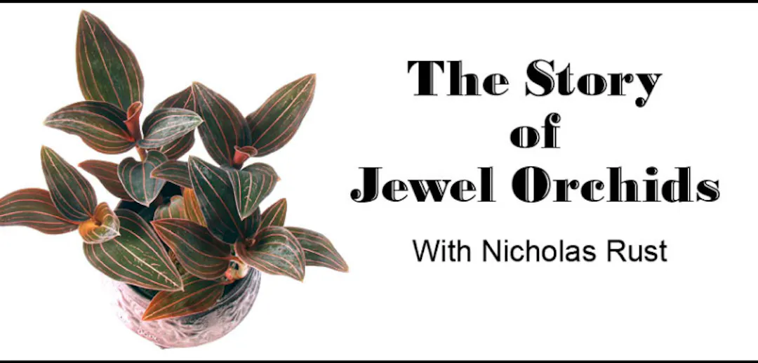 Webinars - American Orchid Society