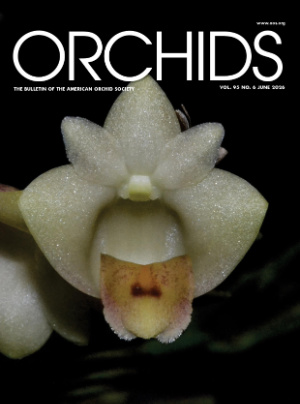 Orchids Magazine - American Orchid Society