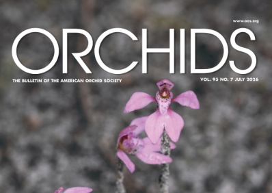 Featured Orchid Articles - American Orchid Society