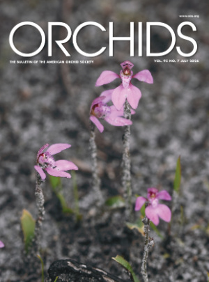 Orchids Magazine - American Orchid Society
