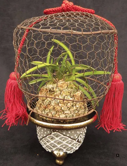Ueki Rankake Pot Hanger – Plastic Furan For Japanese Neofinetia Falcata & Vanda Orchids-574564