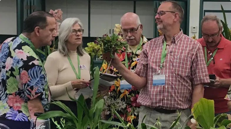 Orchid Awards & Judging