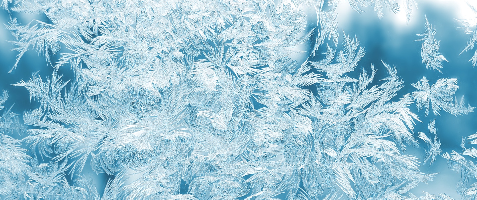 Omicron novinky pri káve-realizované