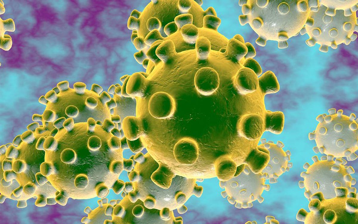 representation of the coronavirus under a microscope