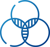 TRANSPARENCY icon