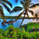 Can I manage a rental property I own if I reside outside of Hawaii?
