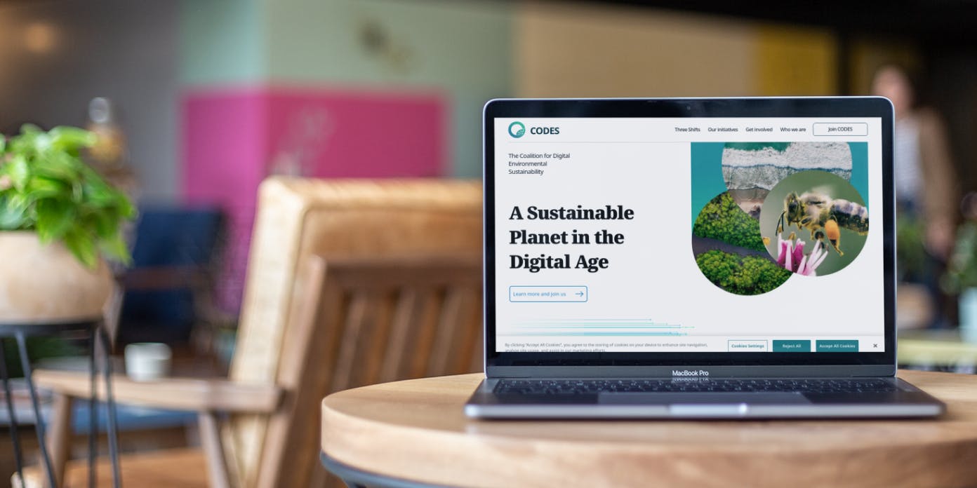 the new CODES site in situ