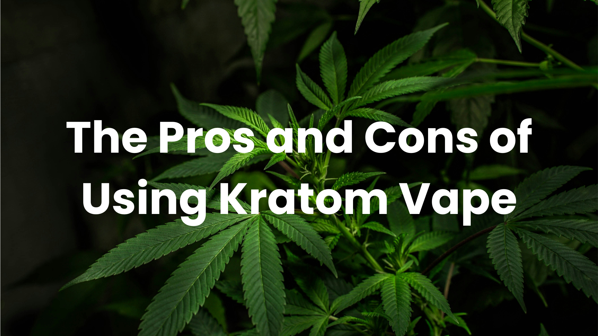 kratom vape wirkung 7-Hydroxy Kratom Vapes main image 1