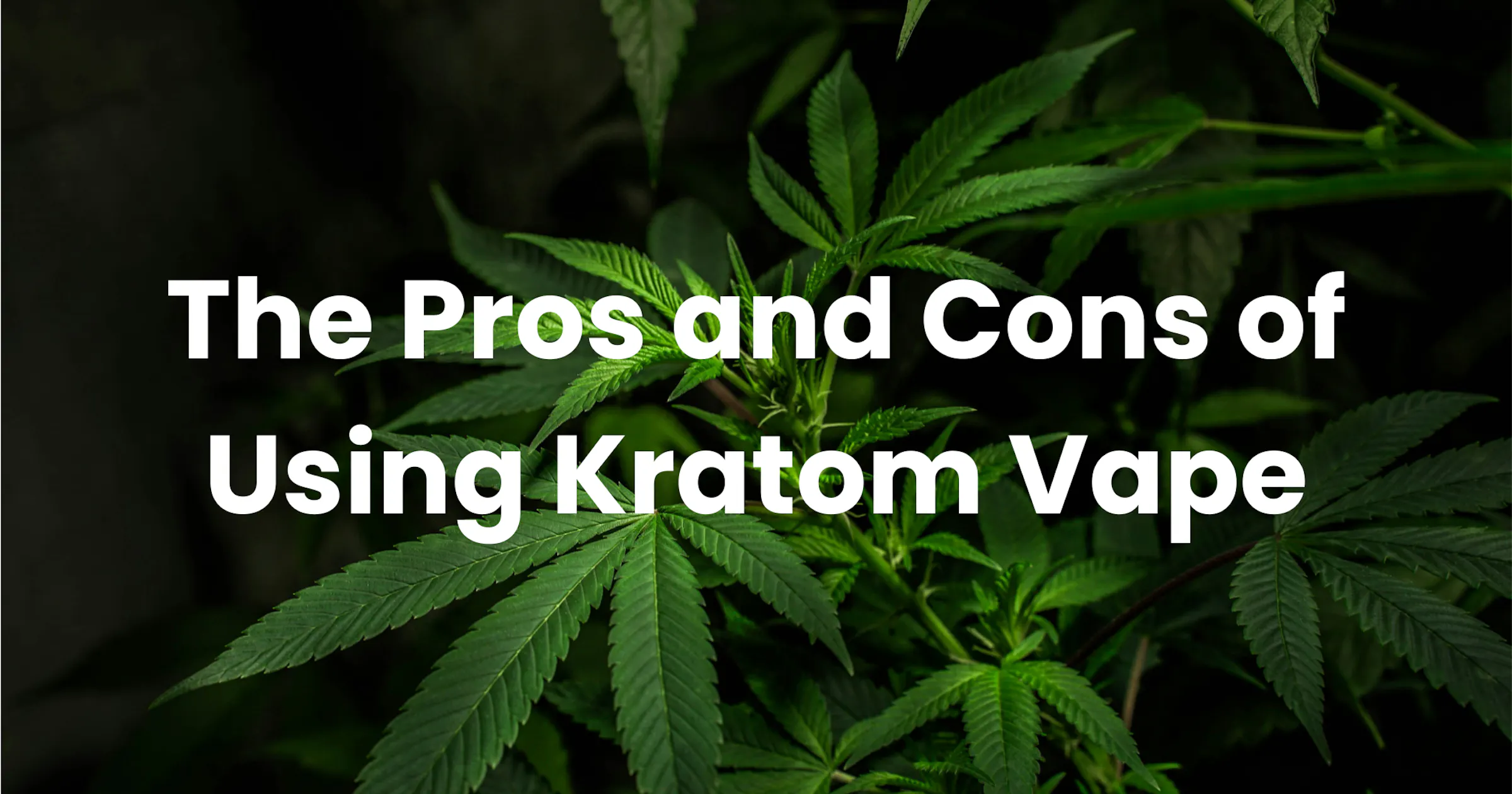 The Pros and Cons of Using Kratom Vape | Apotheca The Pros and Cons of Using Kratom Vape | Apotheca