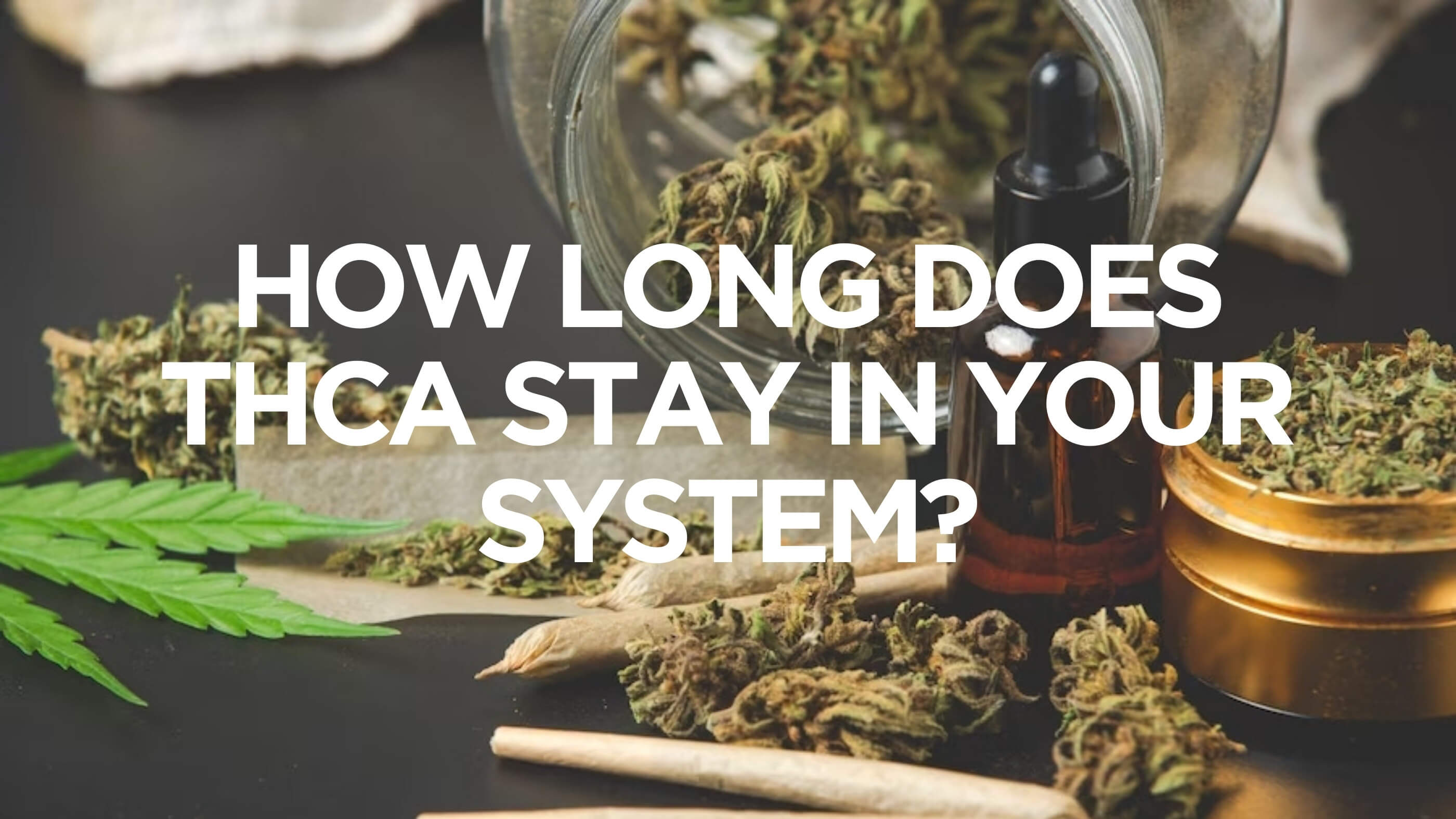 How Long Does Thca Stay In Your Saliva