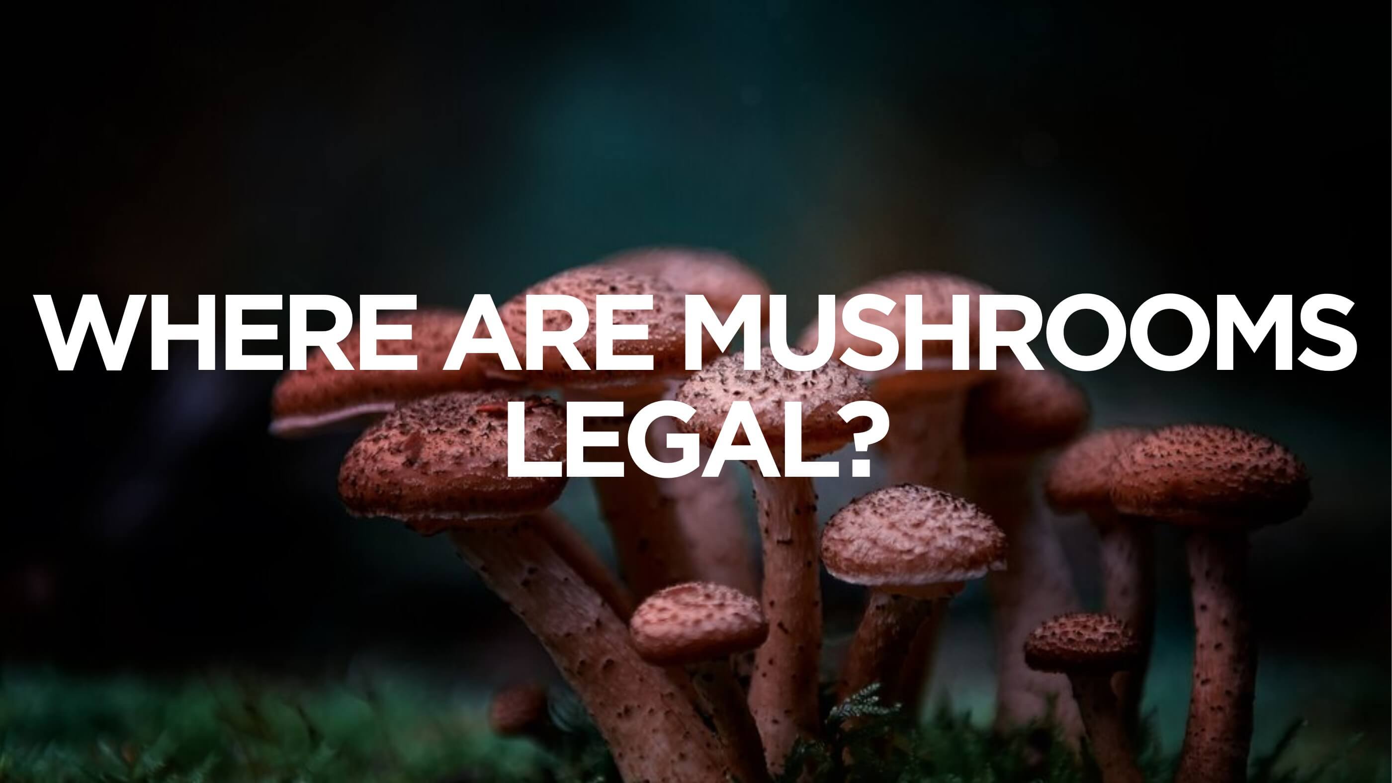 Where Are Mushrooms Legal?