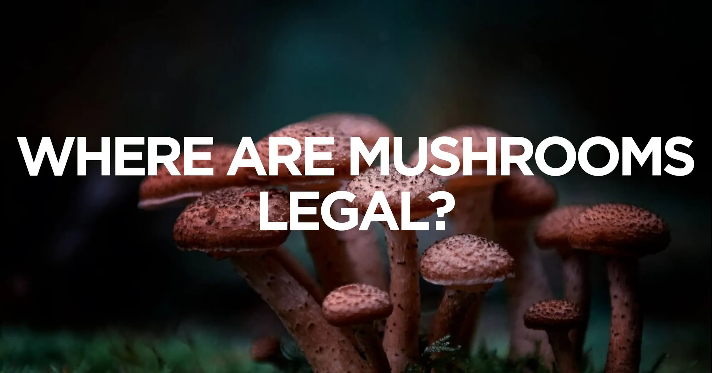 Where Are Mushrooms Legal?