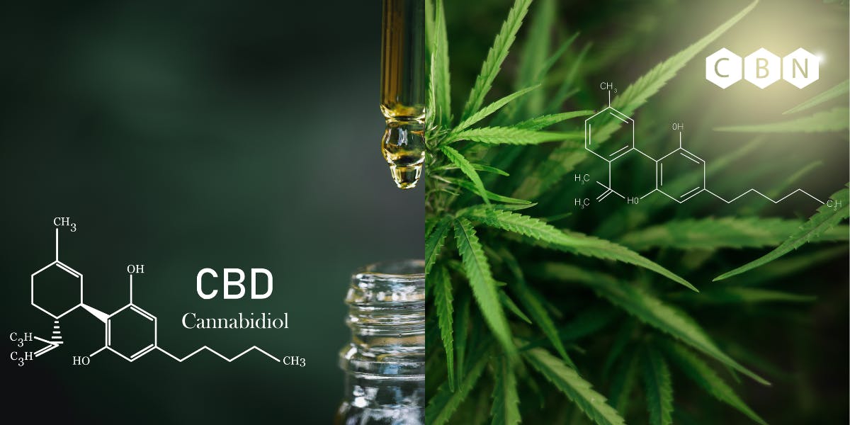 What Are the Differences Between CBD and CBN?