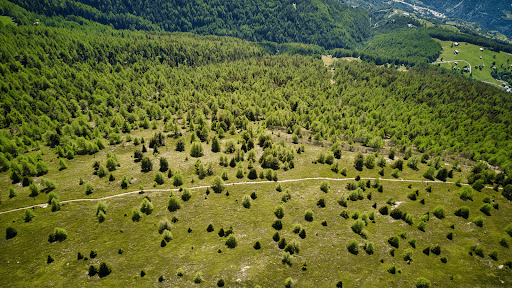 sustainable farming landscape