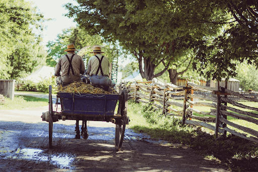 sustainable farming practice