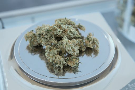 cannabis flower