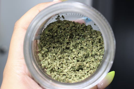 cannabinoids in cannabis plants