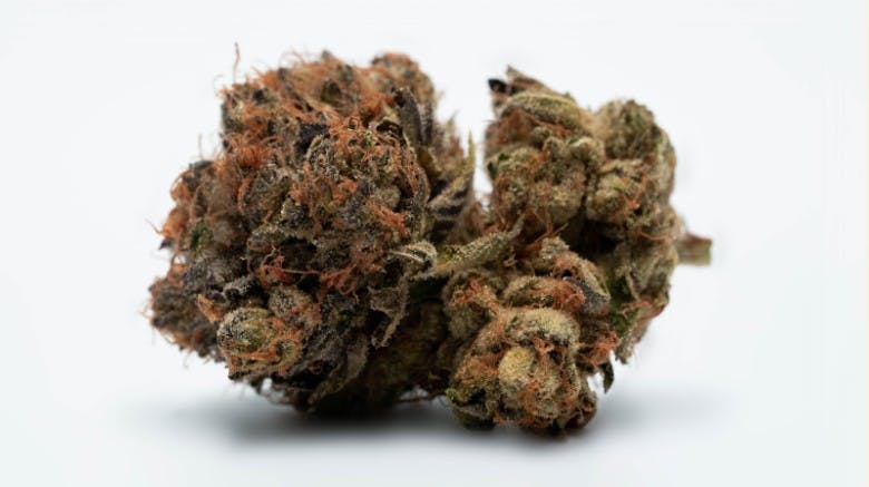 cannabis flower bud