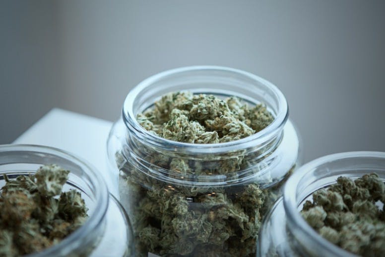 cannabis flower in a jar