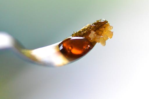bubble hash concentrate
