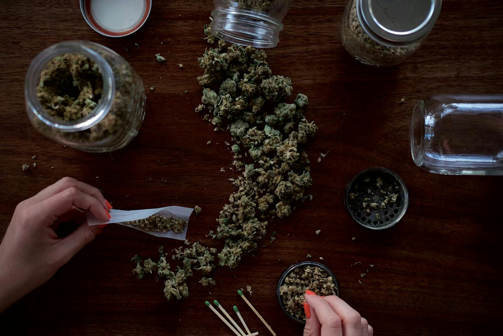 cannabis bud