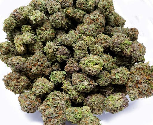 thca flower 