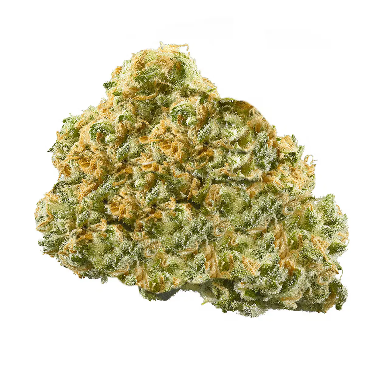 Magnified THCA flower nug against a white background
