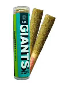 Realize Lil Giants Pre-Roll