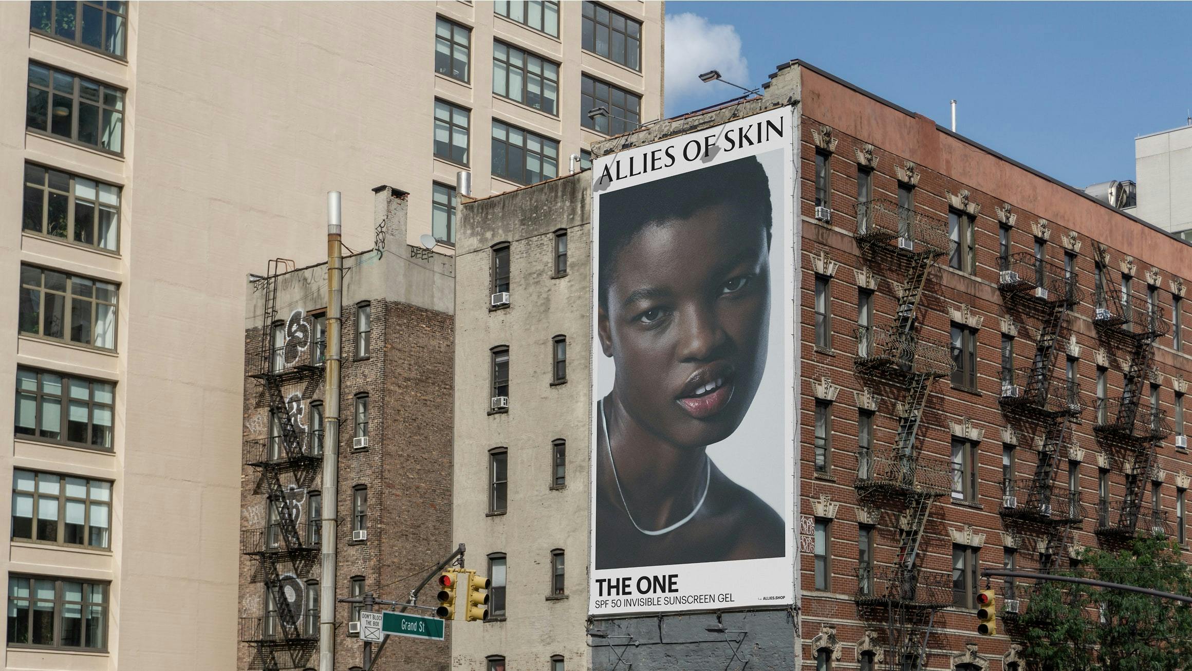 Allies of Skin The One Campaign