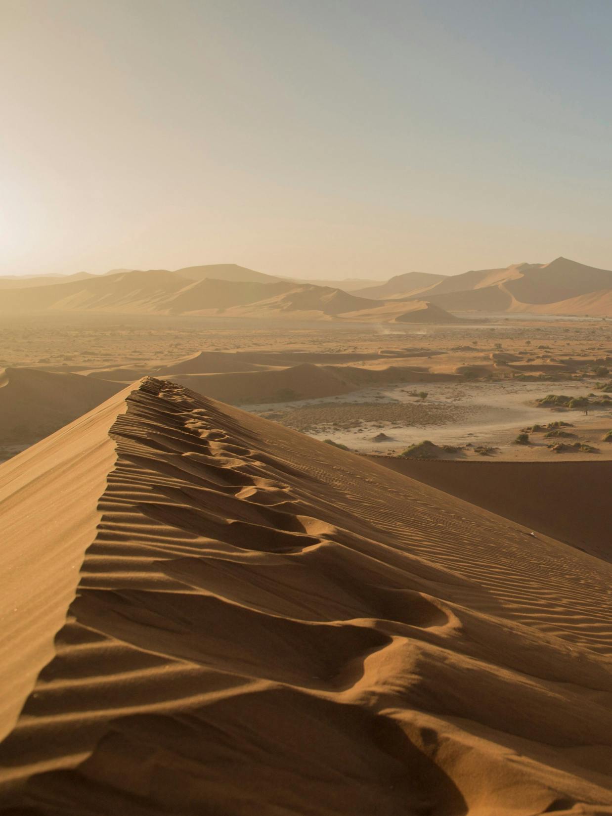 Walter Knoll – Web Design "The furniture brand of modernity": Photo showing a desert landscape with sand dunes and mountains by HY.AM