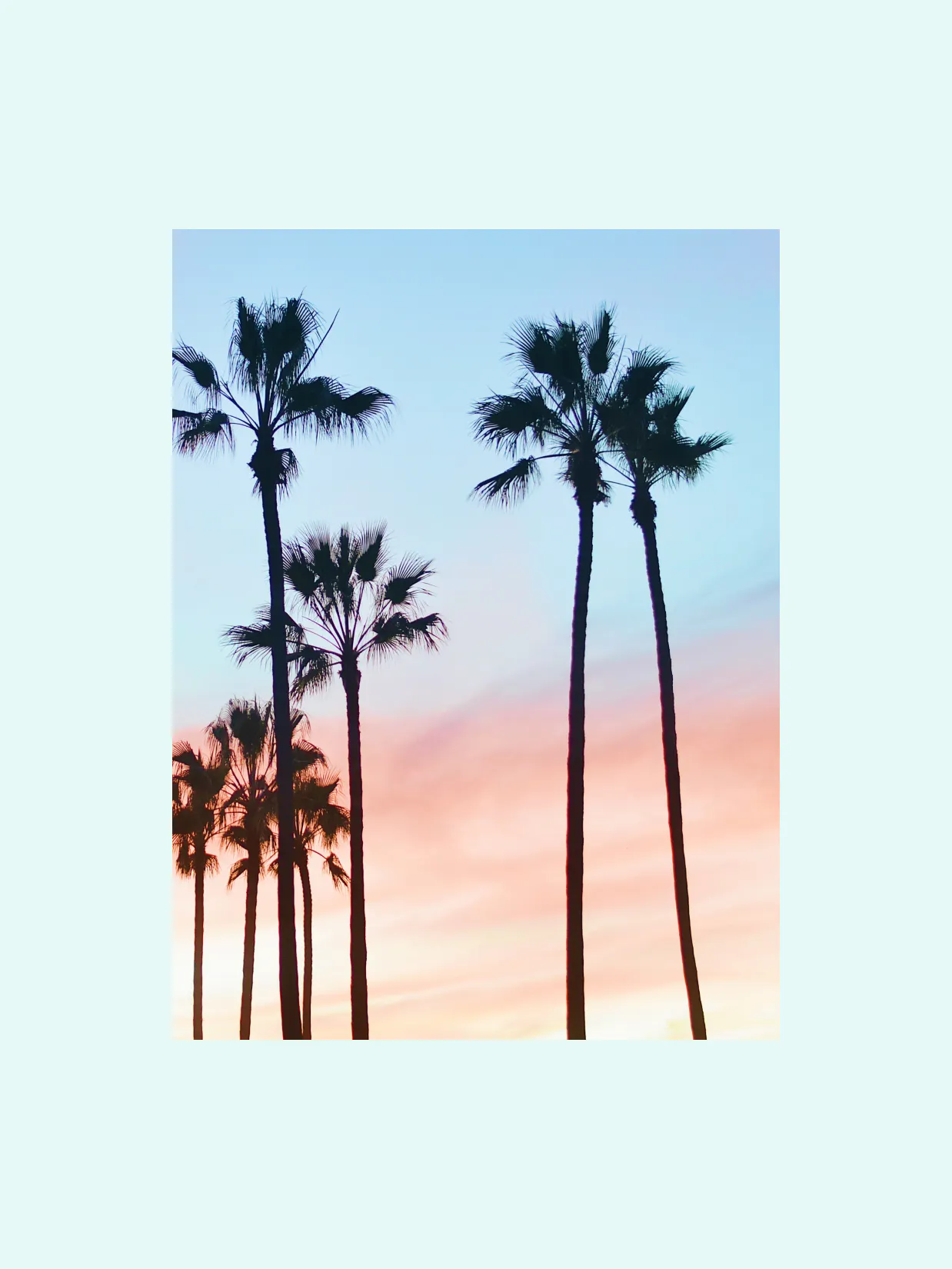 The Hairoine Company – Branding "A hair care brand for confident women": Photo showing silhouetted palm trees against a pastel sunset sky by HY.AM