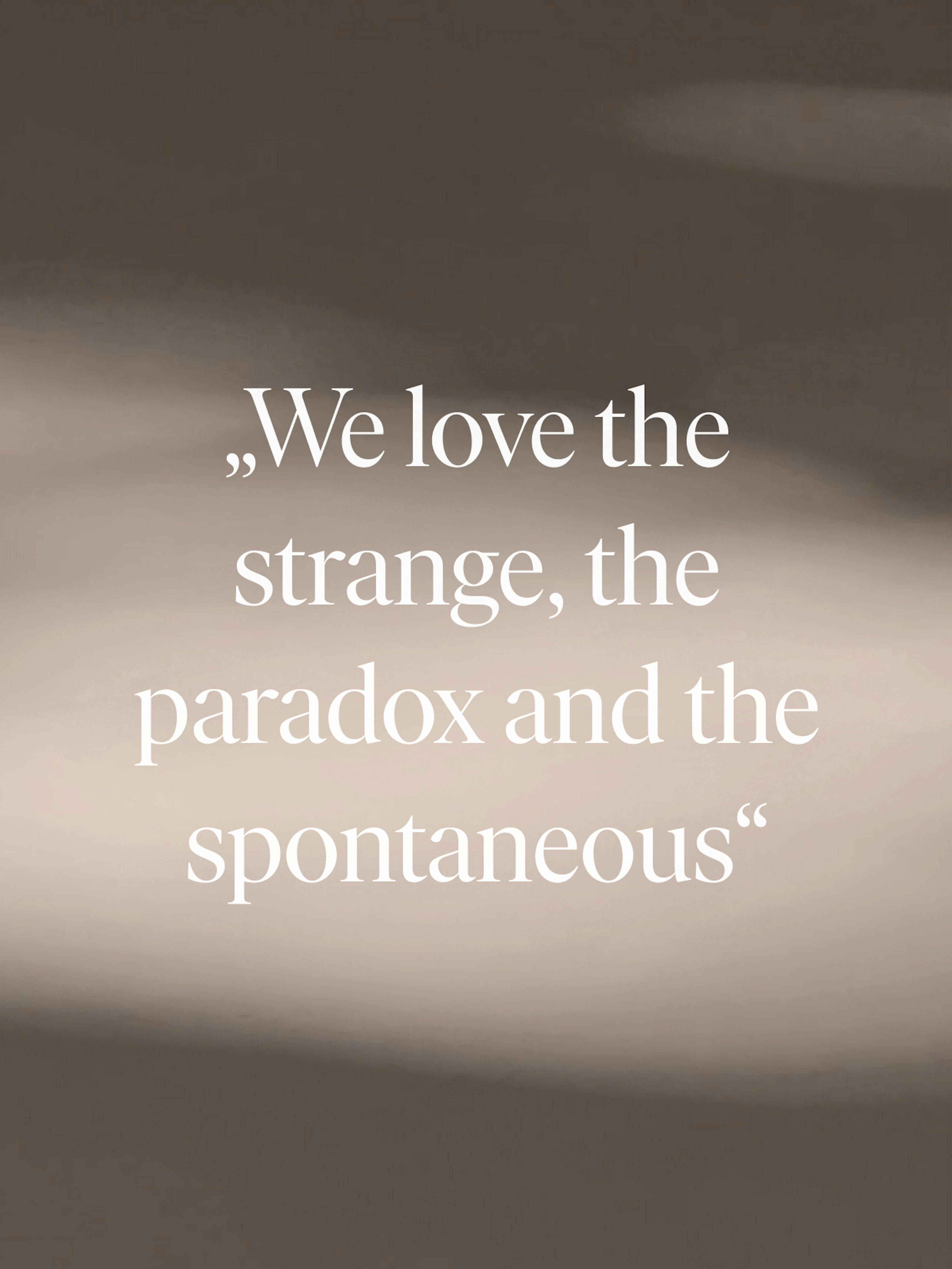 Walter Knoll – Brand Design, E-Commerce, Experience Design "The essence of excellence": Graphic showing the quote "We love the strange, the paradox and the spontaneous x HY.AM Studios