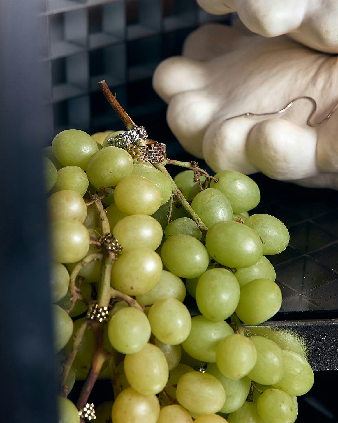 Reintroducing Daniel Wellington