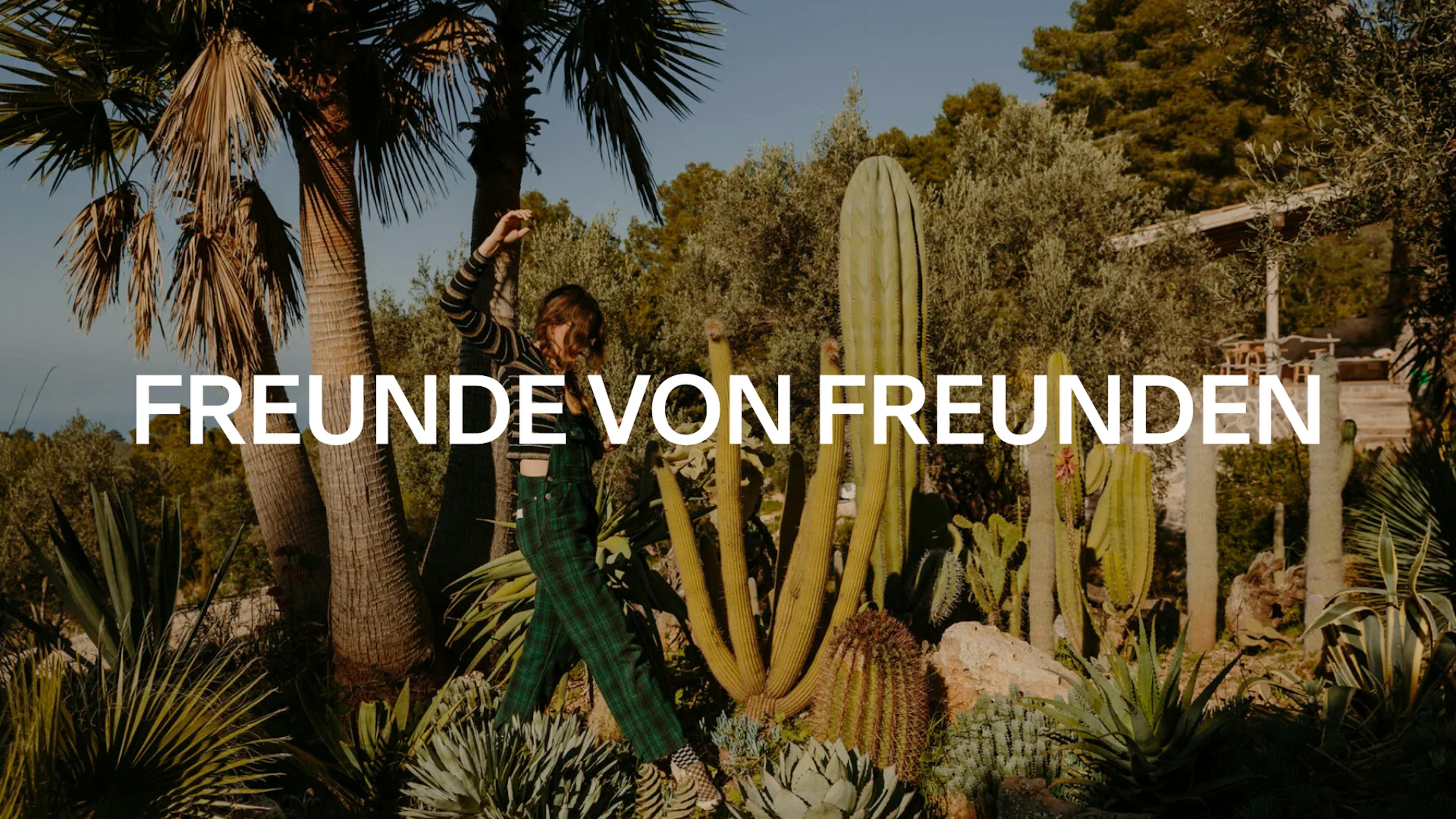 FreundeVonFreunden