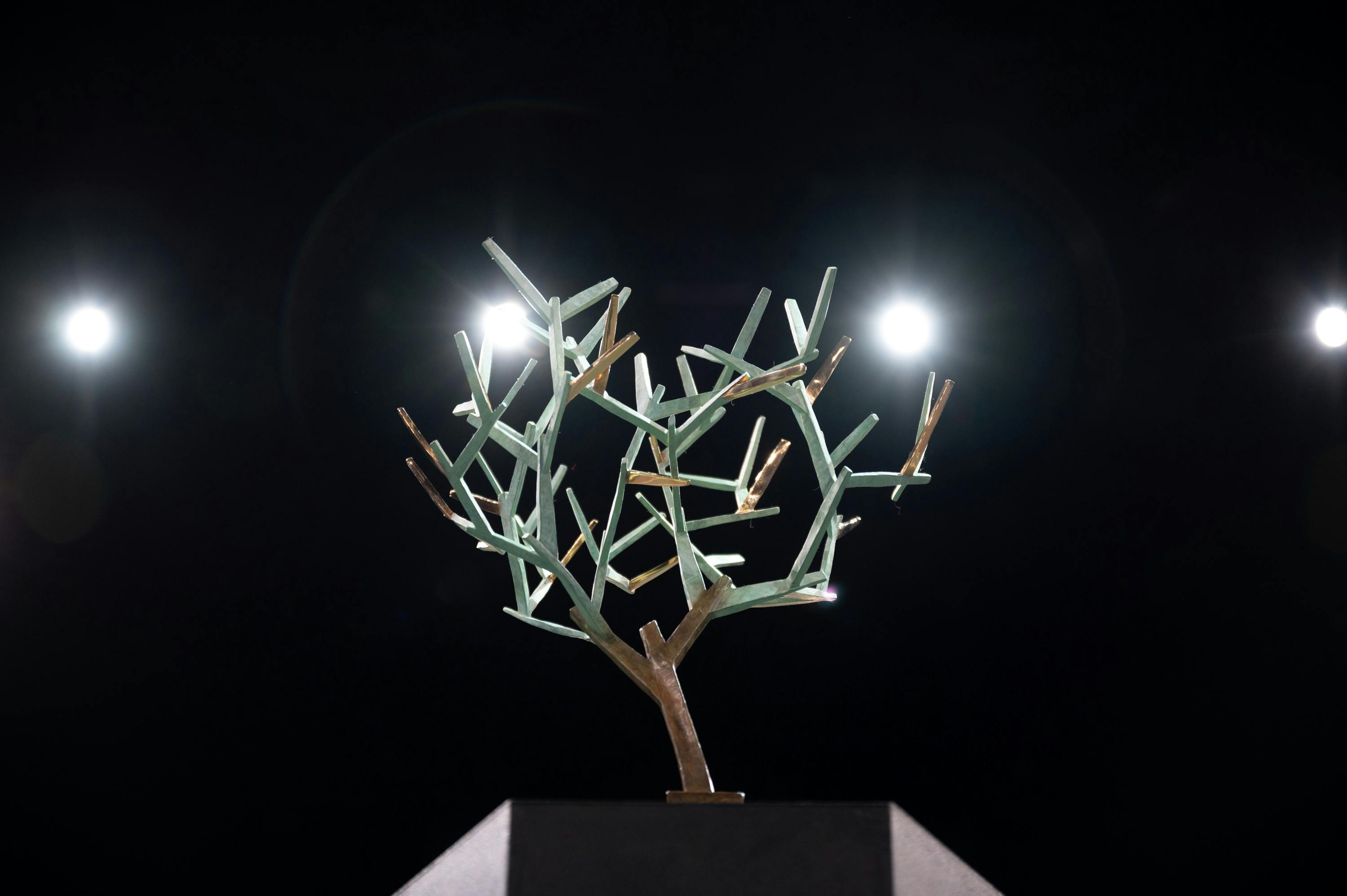 Arbre de Fanti / Rolex Paris Masters 2020