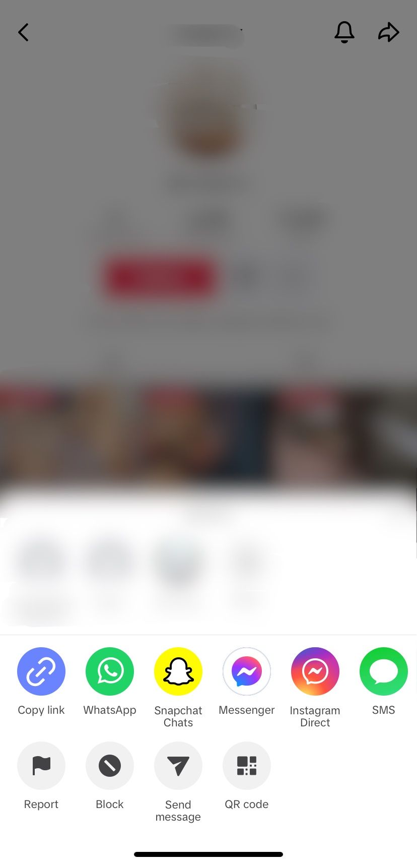 TikTok report user 1