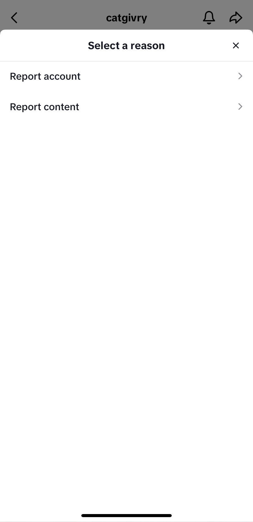 TikTok report user 2