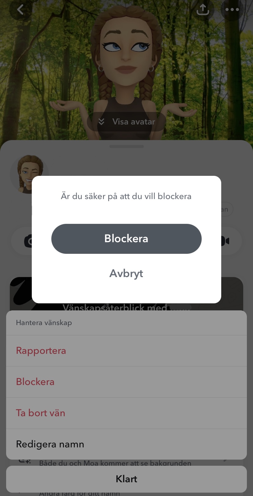 Snapchat Blockering 2