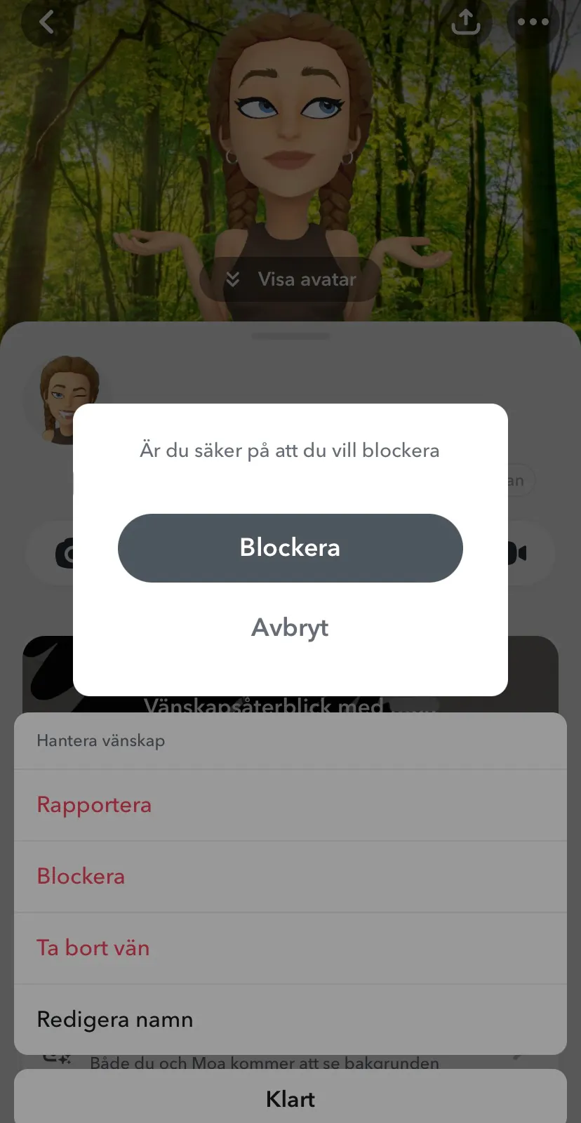 Snapchat Blockering 2